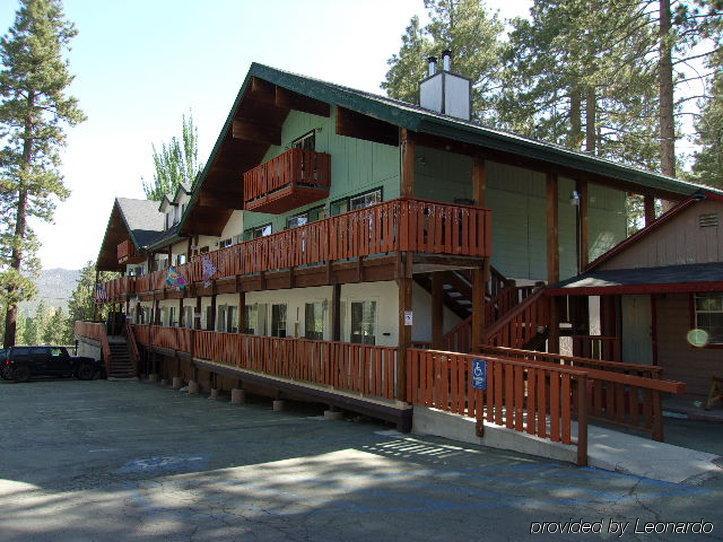 Honey Bear Lodge & Cabins Big Bear Lake Buitenkant foto