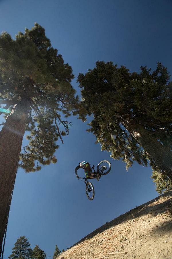 Honey Bear Lodge & Cabins Big Bear Lake Buitenkant foto