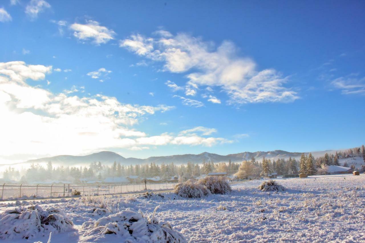 Honey Bear Lodge & Cabins Big Bear Lake Buitenkant foto