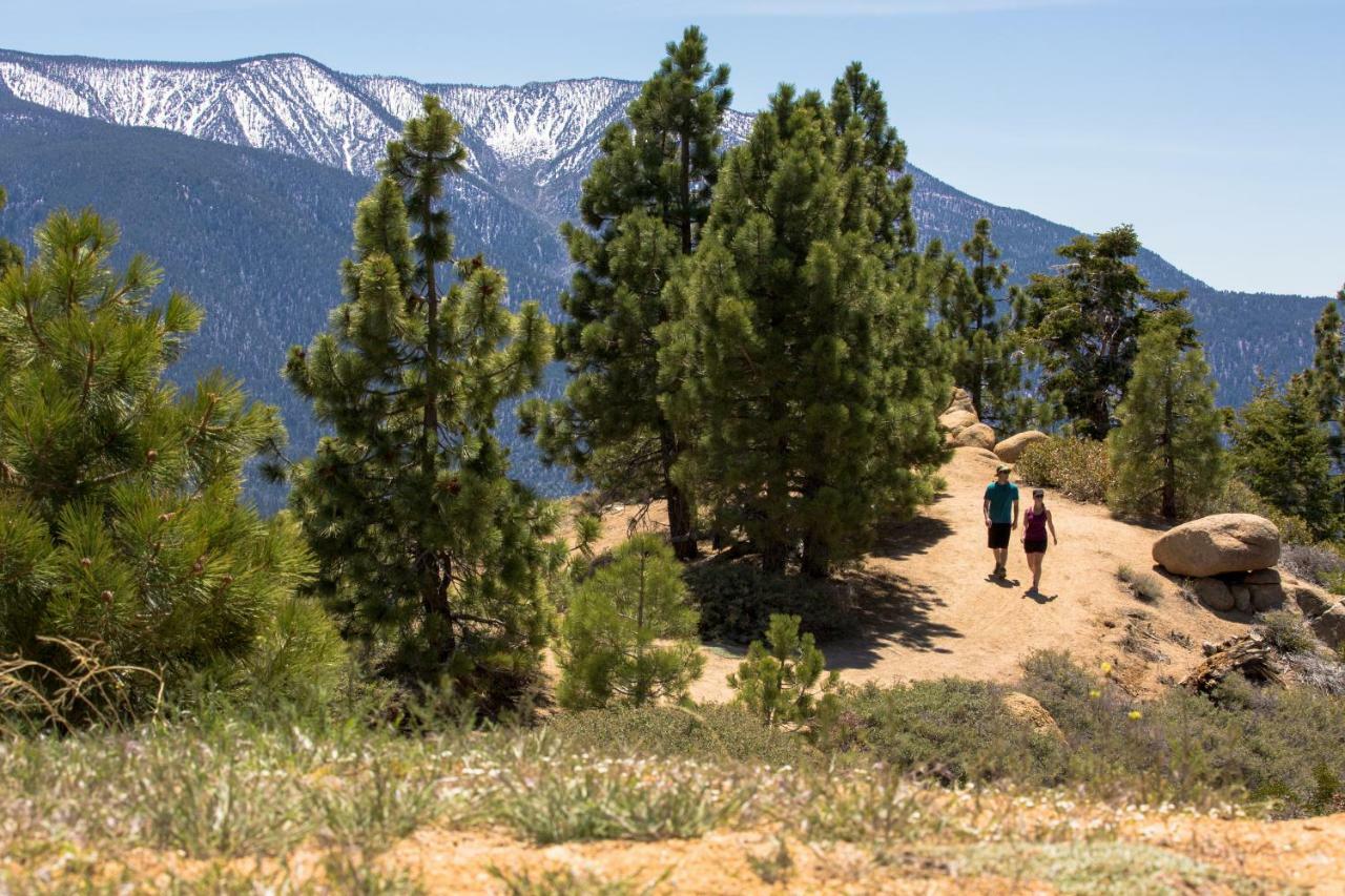 Honey Bear Lodge & Cabins Big Bear Lake Buitenkant foto