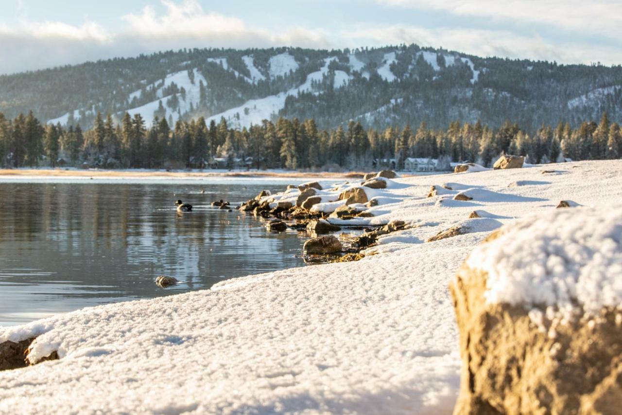 Honey Bear Lodge & Cabins Big Bear Lake Buitenkant foto