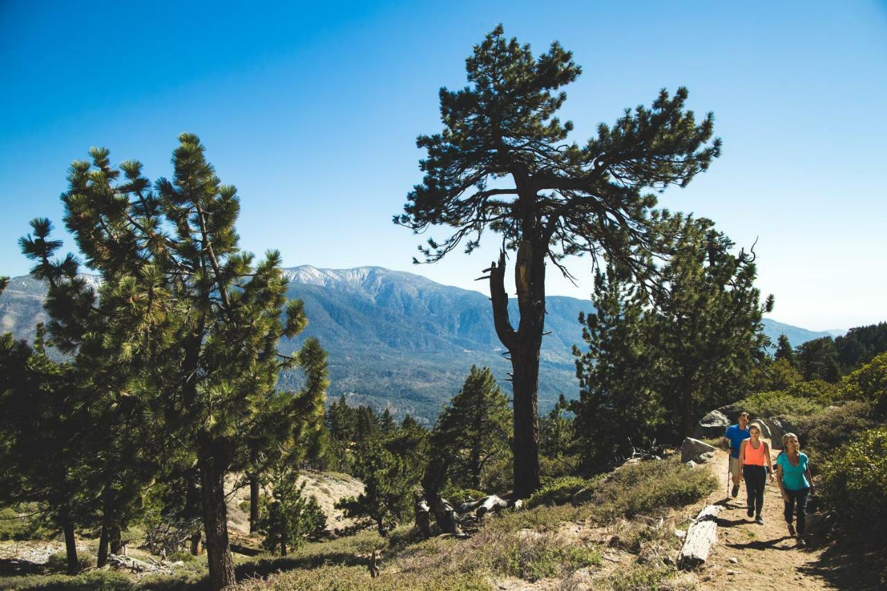 Honey Bear Lodge & Cabins Big Bear Lake Buitenkant foto